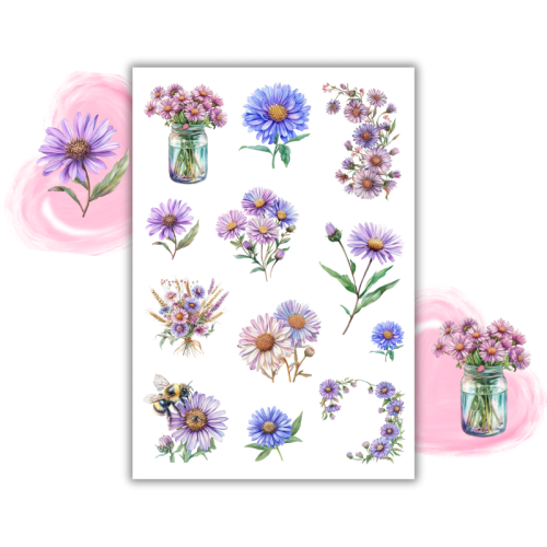 Naklejki Foliowe 13x19 Kwiaty Aster – Gwiazdy jesiennego ogrodu w pełnym rozkwicie! Madam