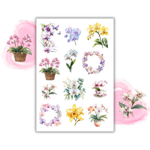 Naklejki Foliowe 13x19 Kwiaty Orchidei – Egzotyczna gracja i subtelny luksus! Madam