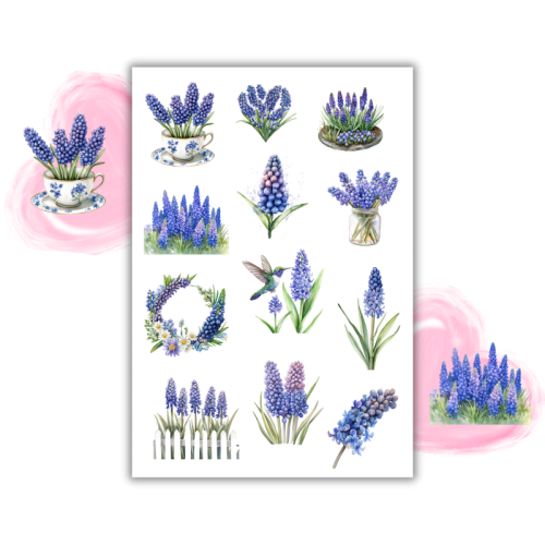 Naklejki Foliowe 13x19 Kwiaty Szafirka – Wiosenny fiolet zamknięty w detalach! Madam 2