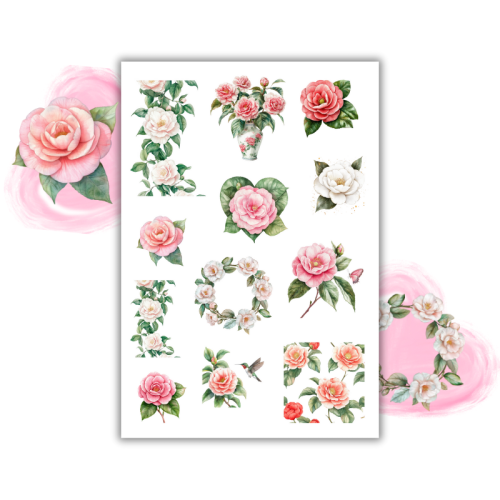 Naklejki Foliowe 13x19 Kwiaty Kamelii – Elegancja w płatkach i romantyzm w każdej ilustracji! Madam