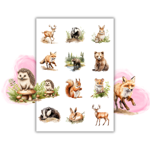 Naklejki Foliowe 13x19 Leśna Gromadka – Zwierzątka z polany i ciche przygody MaDam Creative