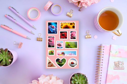 naklejki-znaczki-biedronki-ladybugs-madam-creative-5907080285240.png