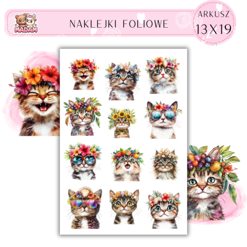 naklejki-foliowe-13x19-smieszny-letni-kot-okulary-owoce-madam-creative