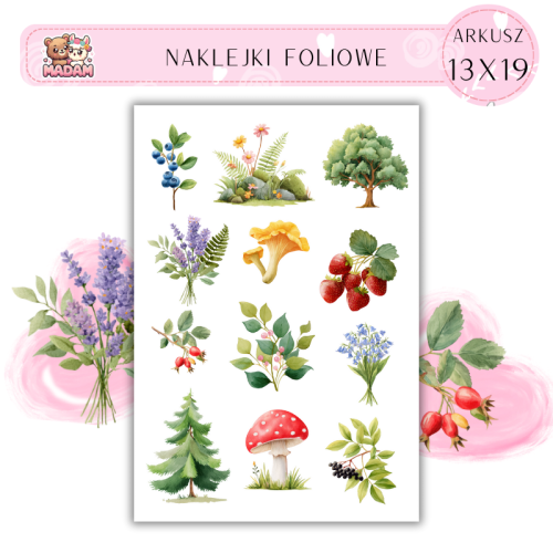 naklejki-foliowe-13x19-lesne-kwiaty-botaniczne-madam-creative-5907080287282-1