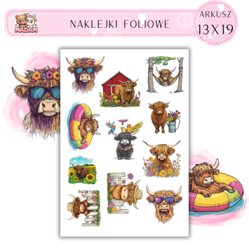 Naklejki Foliowe 13x19 Letnia Krowa Szkocka MaDam Creative