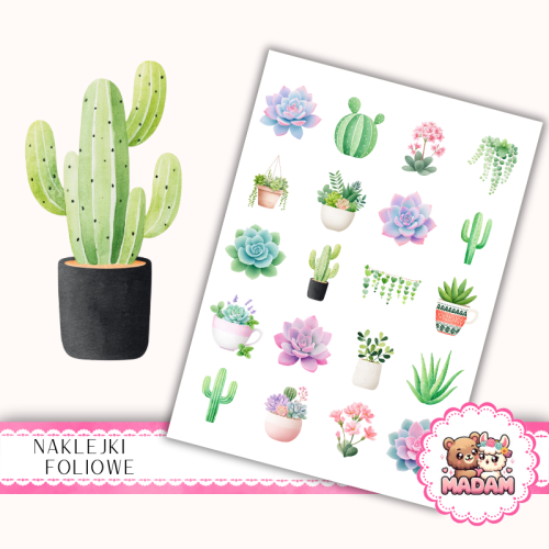 Naklejki foliowe 13x19 Sukulenty MaDam Creative