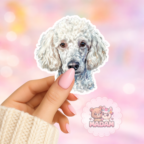 Naklejka foliowa piesek pudel biały portret MaDam Creative