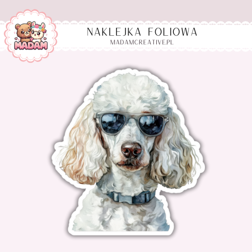 Naklejka foliowa piesek pudel w okularach MaDam Creative