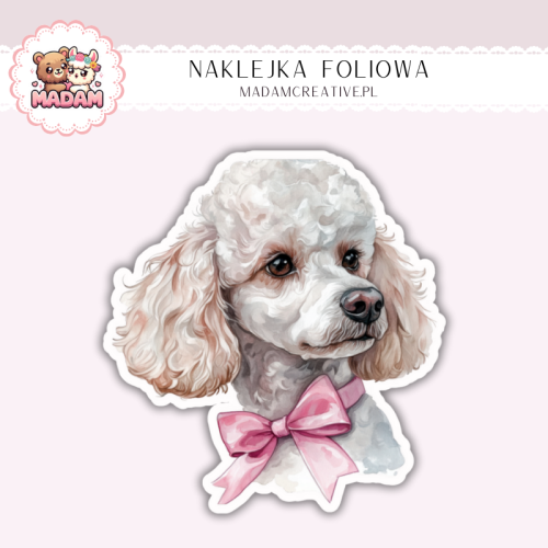 Naklejka foliowa piesek pudel z kokardą MaDam Creative