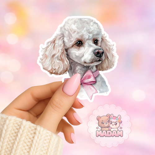 Naklejka foliowa piesek pudel z kokardą MaDam Creative