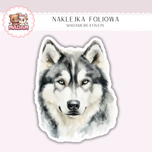 Naklejka foliowa piesek malamute alaskan portret MaDam Creative