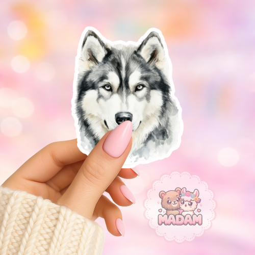 Naklejka foliowa piesek malamute alaskan portret MaDam Creative