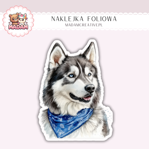Naklejka foliowa piesek malamute alaskan z bandanką MaDam Creative
