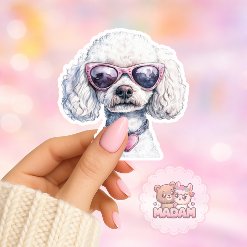 Naklejka foliowa piesek toy pudel w okularach MaDam Creative