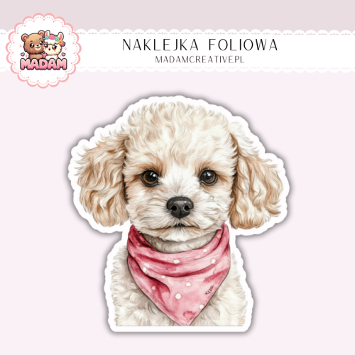 Naklejka foliowa piesek toy pudel z bandanką MaDam Creative