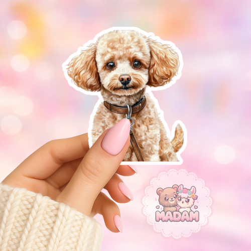 Naklejka foliowa piesek toy pudel portret MaDam Creative