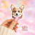 Naklejka foliowa piesek corgi z bandanką MaDam Creative