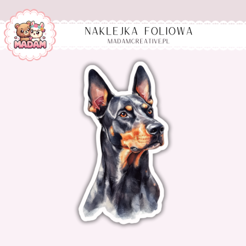 Naklejka foliowa pies doberman portret MaDam Creative