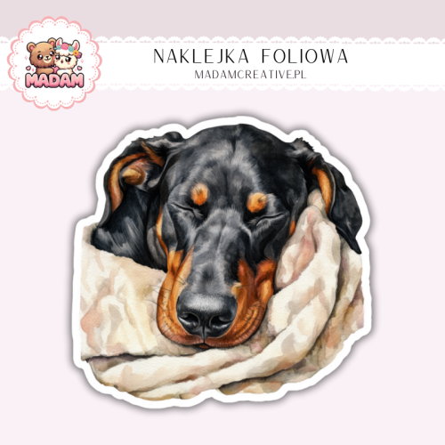 Naklejka foliowa pies doberman w szalu MaDam Creative