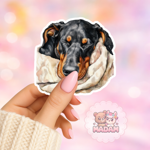 Naklejka foliowa pies doberman w szalu MaDam Creative