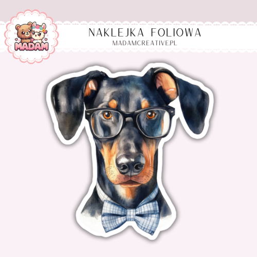 Naklejka foliowa pies doberman w okularach MaDam Creative