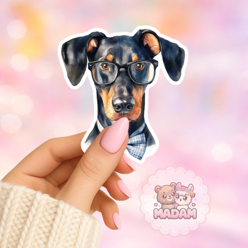 Naklejka foliowa pies doberman w okularach MaDam Creative