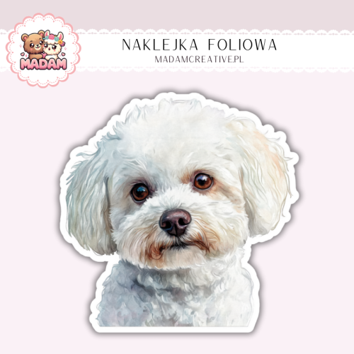 Naklejka foliowa piesek bichon frise portret MaDam Creative