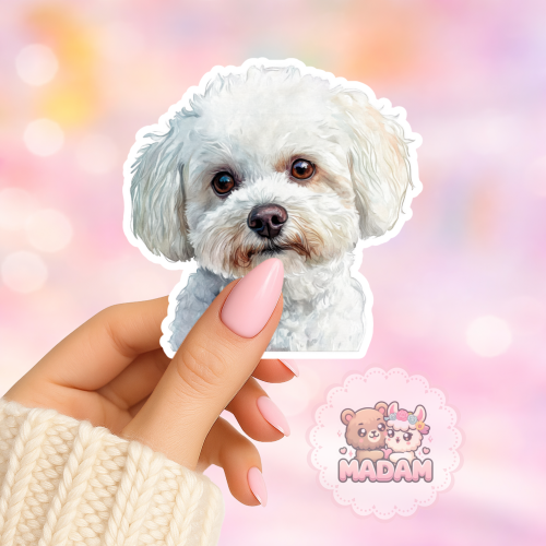 Naklejka foliowa piesek bichon frise portret MaDam Creative