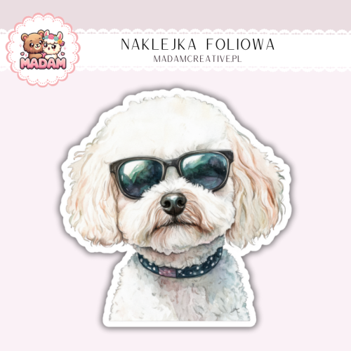 Naklejka foliowa piesek bichon frise w okularach MaDam Creative