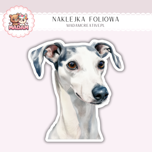 Naklejka foliowa piesek chart portret MaDam Creative