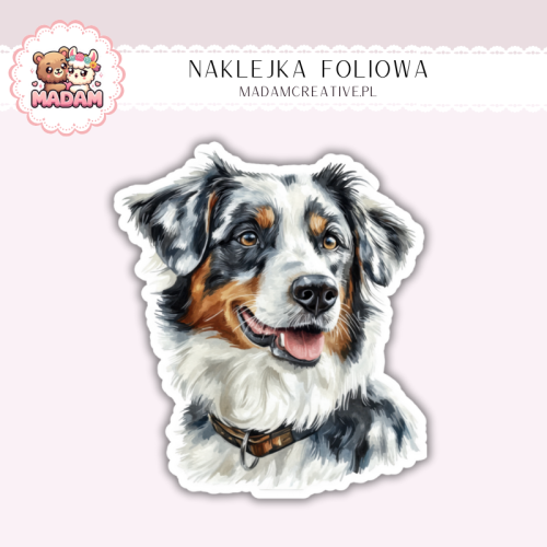 Naklejka foliowa piesek owczarek australijski portret MaDam Creative