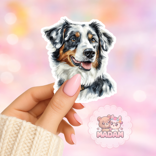 Naklejka foliowa piesek owczarek australijski portret MaDam Creative