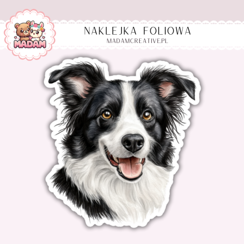 Naklejka foliowa piesek border collie portret MaDam Creative