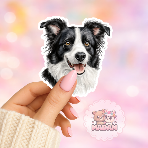Naklejka foliowa piesek border collie portret MaDam Creative