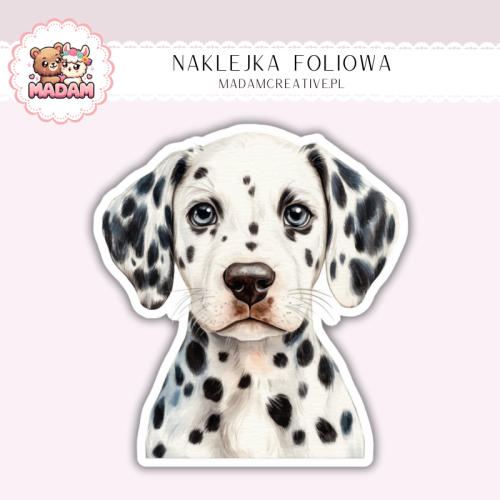 Naklejka foliowa piesek dalmatyńczyk portret MaDam Creative
