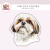 Naklejka foliowa piesek shih tzu portret MaDam Creative