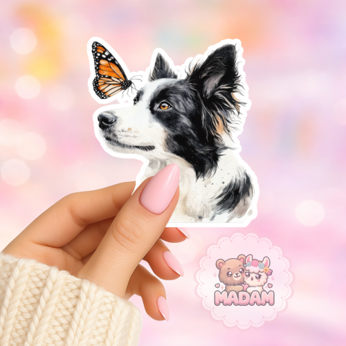 Naklejka foliowa piesek border collie portret MaDam Creative