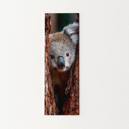 5906040420226 Zakładka do książki 6x18 cm koala portret MaDam Creative.png