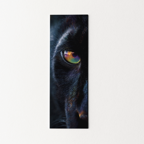 5906040418377 Zakładka do książki 6x18 cm czarna pantera MaDam Creative.png