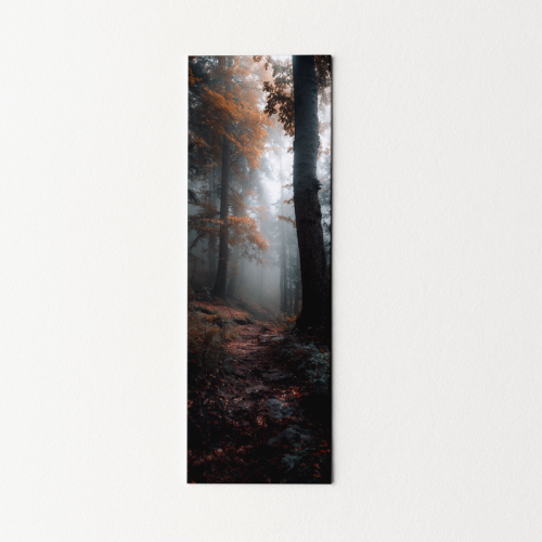 5906040419602 Zakładka do książki 6x18 cm jesienny las MaDam Creative.png