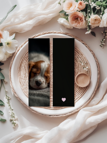 5906040419015 Zakładka do książki 6x18 cm śpiący szczeniak MaDam Creative (2).png