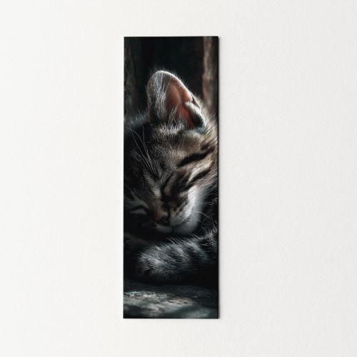 5906040419022 Zakładka do książki 6x18 cm śpiący kot MaDam Creative.png