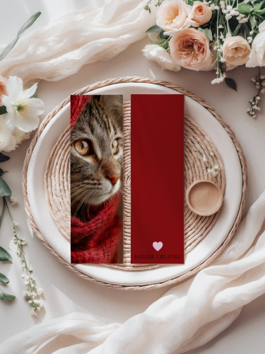 5906040419114 Zakładka do książki 6x18 cm kot cozy MaDam Creative (2).png