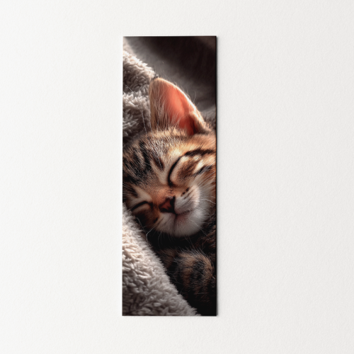 5906040418698 Zakładka do książki 6x18 cm przytulony kotek MaDam Creative.png