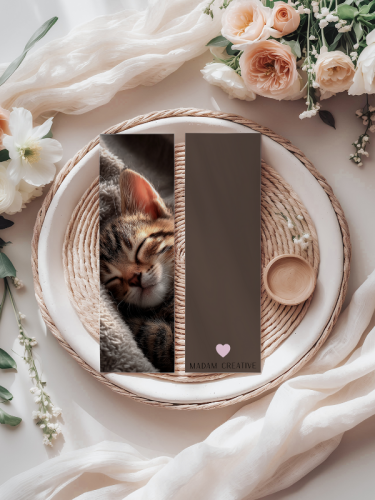 5906040418698 Zakładka do książki 6x18 cm przytulony kotek MaDam Creative (2).png