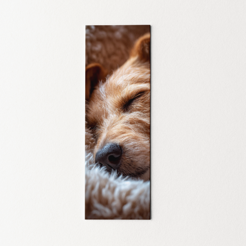 5906040420035 Zakładka do książki 6x18 cm śpiący piesek cozy MaDam Creative.png