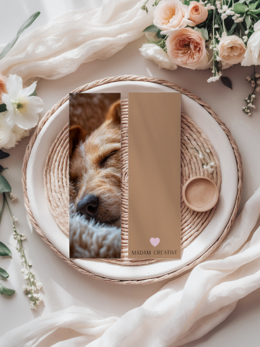 5906040420035 Zakładka do książki 6x18 cm śpiący piesek cozy MaDam Creative (2).png