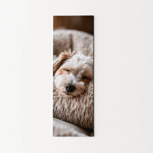 5906040420066 Zakładka do książki 6x18 cm słodki piesek śpiący MaDam Creative.png