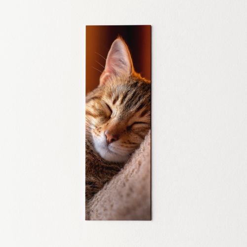 5906040420127 Zakładka do książki 6x18 cm kotek cozy śpiący MaDam Creative.png