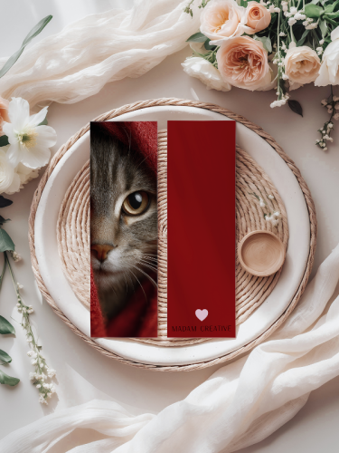 5906040419121 Zakładka do książki 6x18 cm kot w szaliku MaDam Creative (2).png